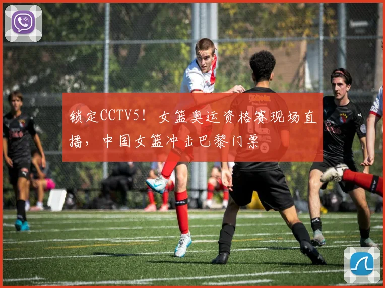 锁定CCTV5！女篮奥运资格赛现场直播，中国女篮冲击巴黎门票