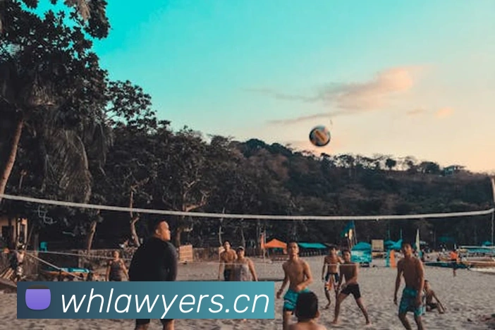 爱游戏全站首页平台生态图